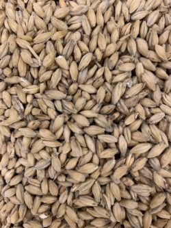 Base Grain