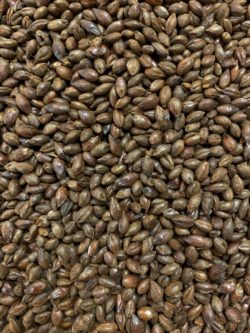 Carafa