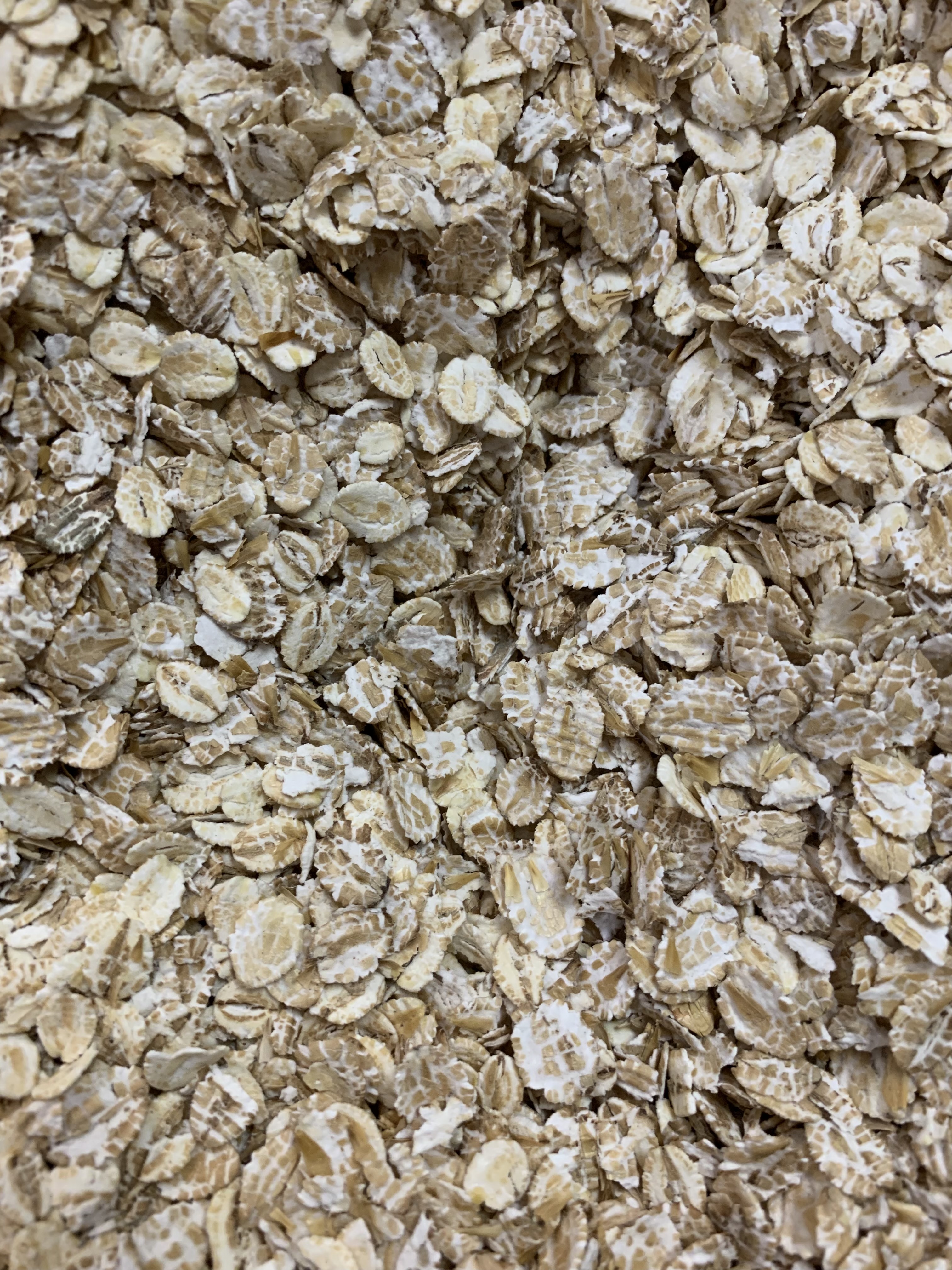 Flaked Barley