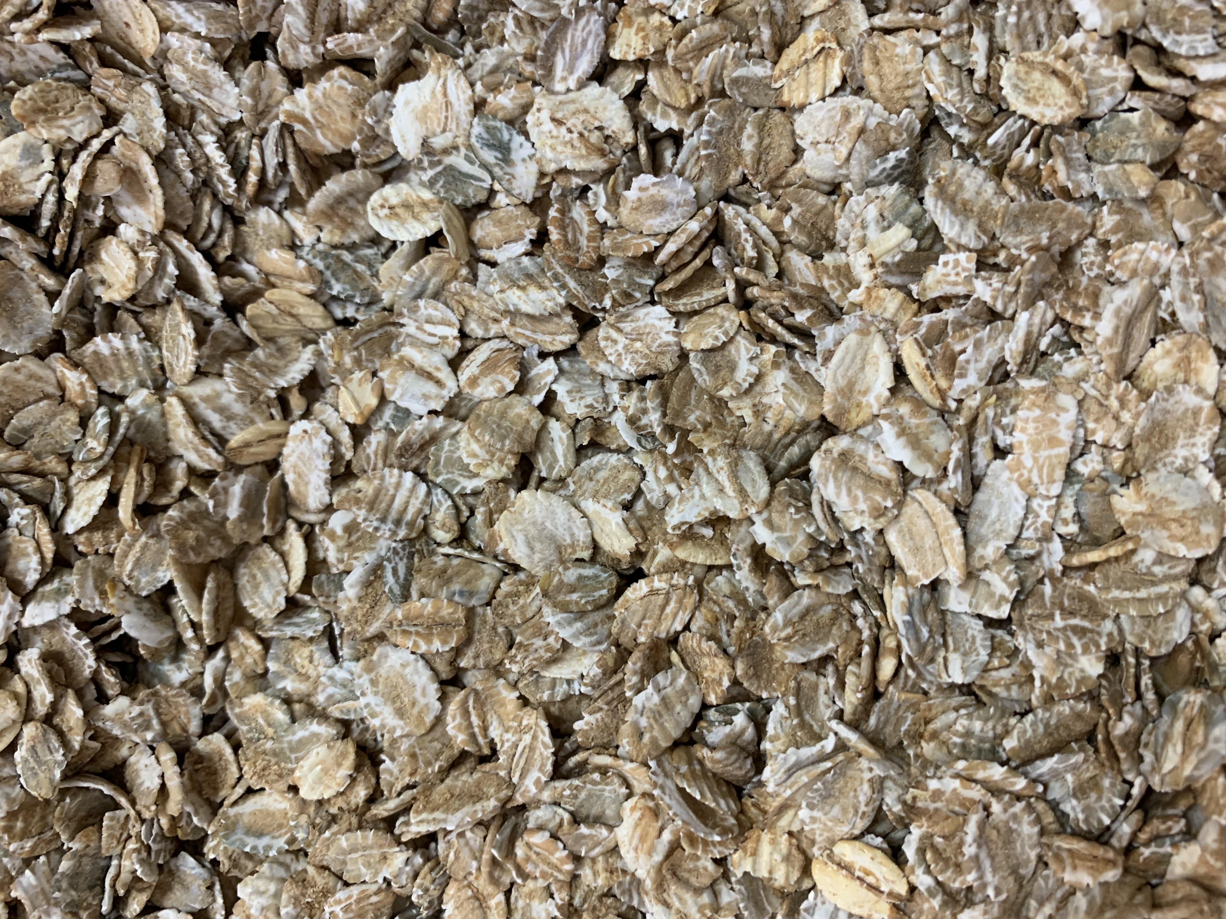 Flaked Rye