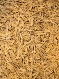 Rice Hulls