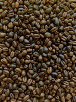 Chocolate Wheat