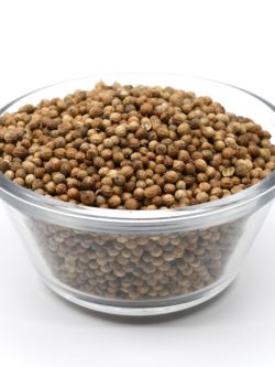 Coriander Seed (1 ounce)