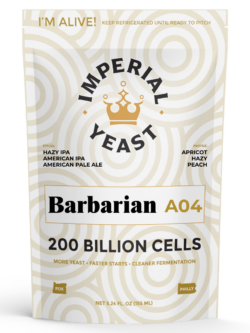 Imperial A04 Barbarian